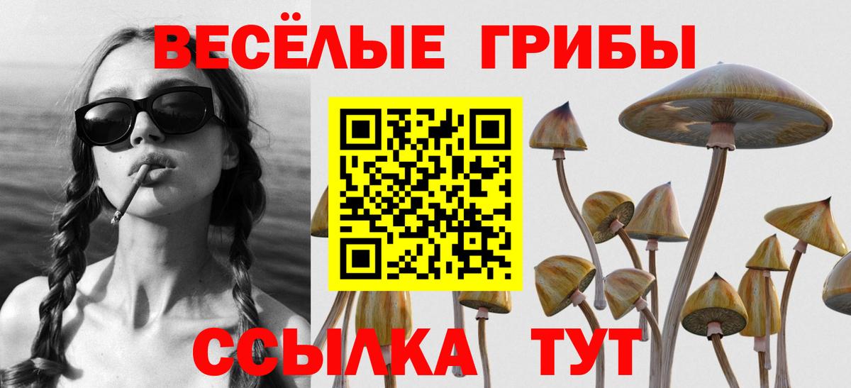 Псилоцибиновые грибы ЛСД Елабуга