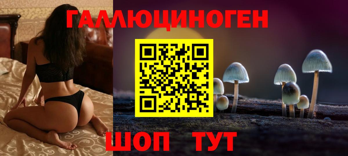 Елабуга  Галлюциногенные грибы Cubensis  Вход с VPN  Псилоцибиновые грибы GOLDEN TEACHER 